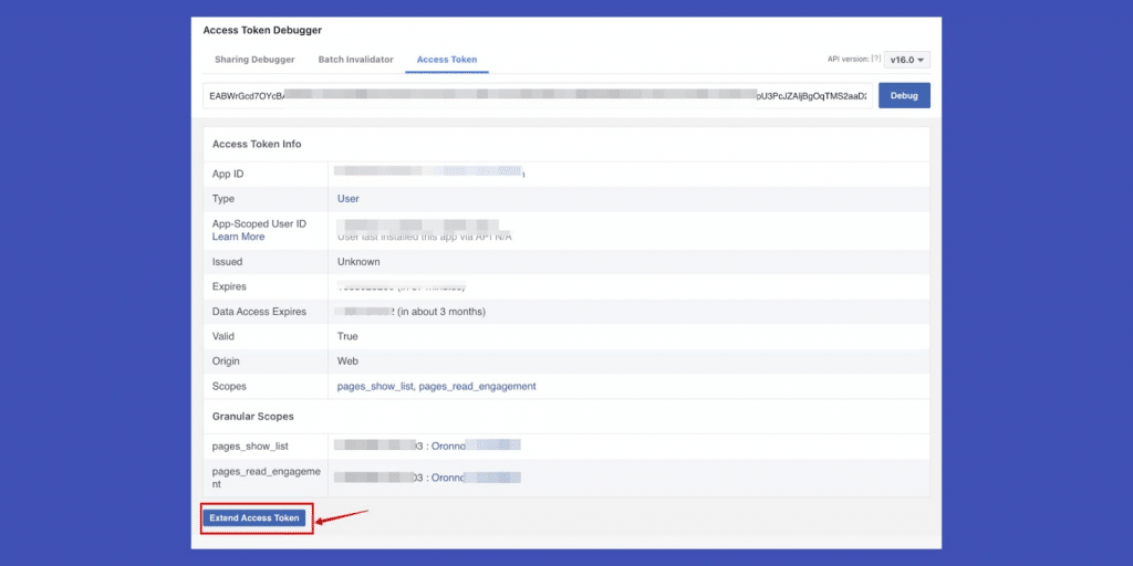 Debug and extend access token.