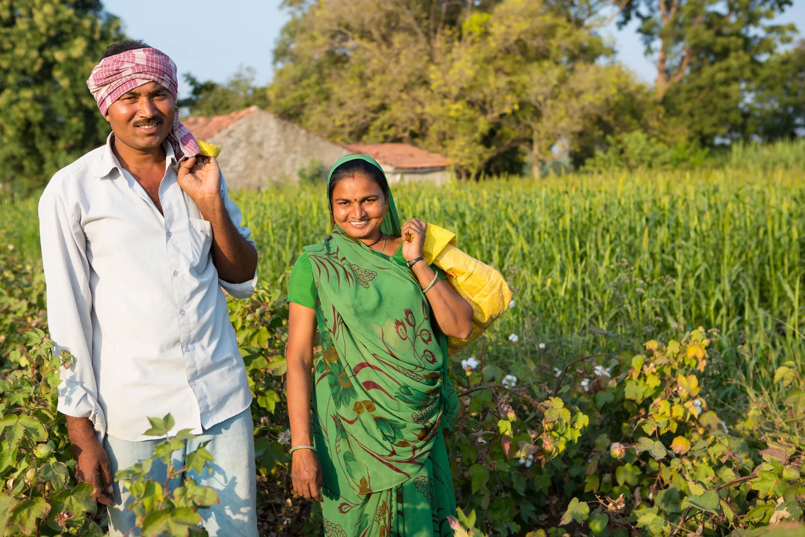 SC Farmer Land Purchase Scheme Gujarat - farming family on their own farmland in Gujarat